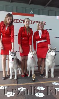 Интернациональная выставка собак Беларусь 