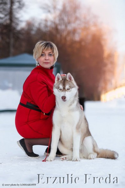 Всероссийская Выставка Собак Чемпион РФСС