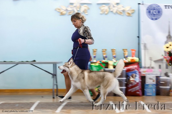  всероссийская выставка собак г.Тула