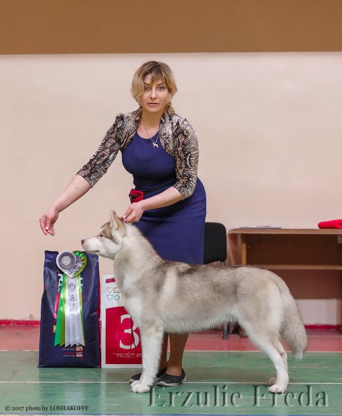 Всероссийская  выставка собак «Лидер »