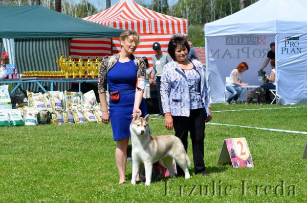 Всероссийская Выставка Собак Чемпион 