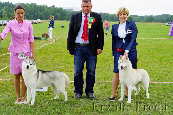  Литва, интернациональная выставка собак