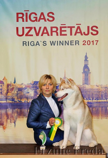 интернациональная выставка собак "Riga Winner 2017"