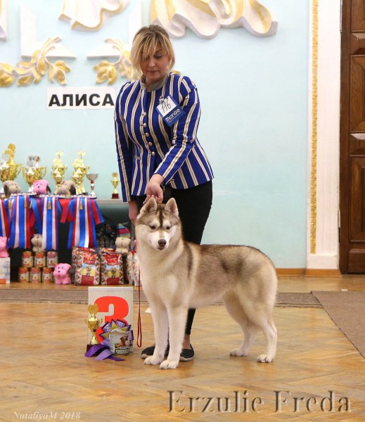  всероссийская выставка собак "АЛИСА"