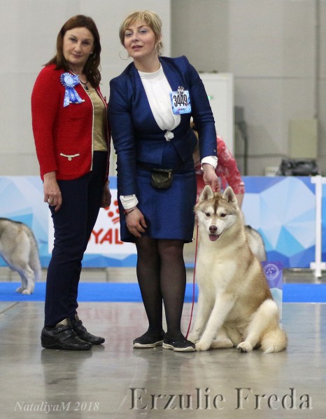Евразия-1 Москва, Интернациональная выставка собак.