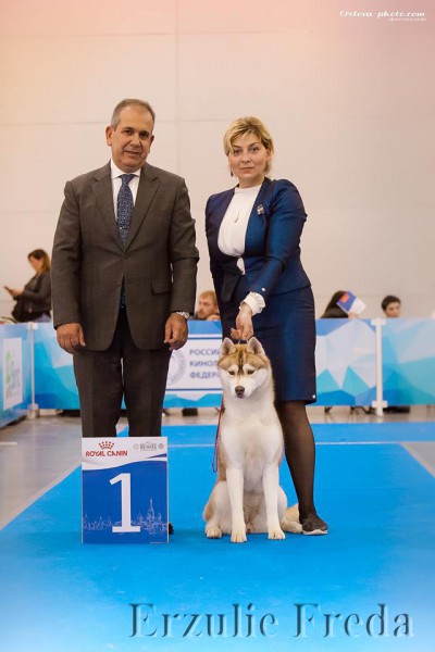 Интернациональная выставка собак 'Россия-2 -2018'