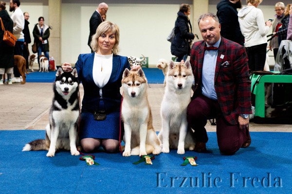 Германия,всепородная выставка собак