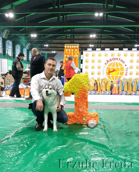 Региональная выставка собак всех пород (КЧФ - РФЛС)
