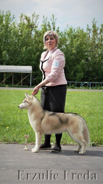 Всероссийская выставка собак 