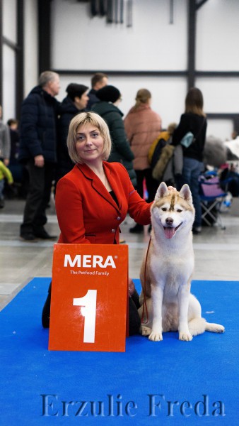Интернациональная Выставка Собак 