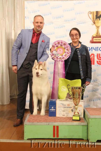 Всероссийская выставка собак г. Котлас