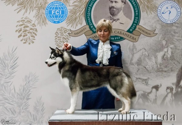 Интернациональная выставка собак "Сабанеевка 2021"