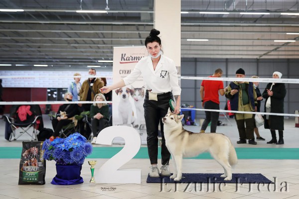 Всероссийская выставка Собак "КАМЕННЫЙ ЦВЕТОК-2021