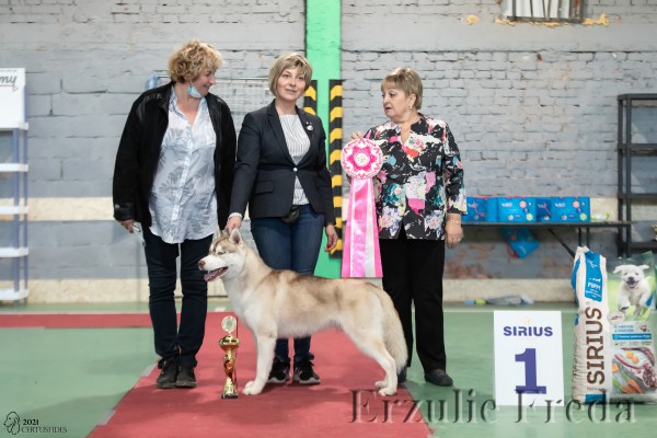 Всероссийская выставка собак г. Тула 