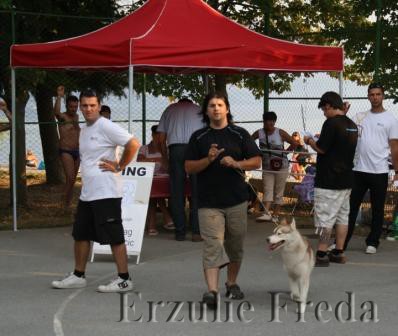Международная выставка собак в Черногории (2)