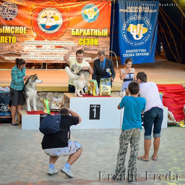Всепородная выставка  «Крымское Лето — 2012″  CACIB  г. Симферополь