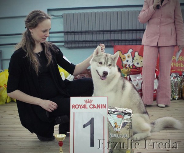 Монопородная выставка собак в г. Минск