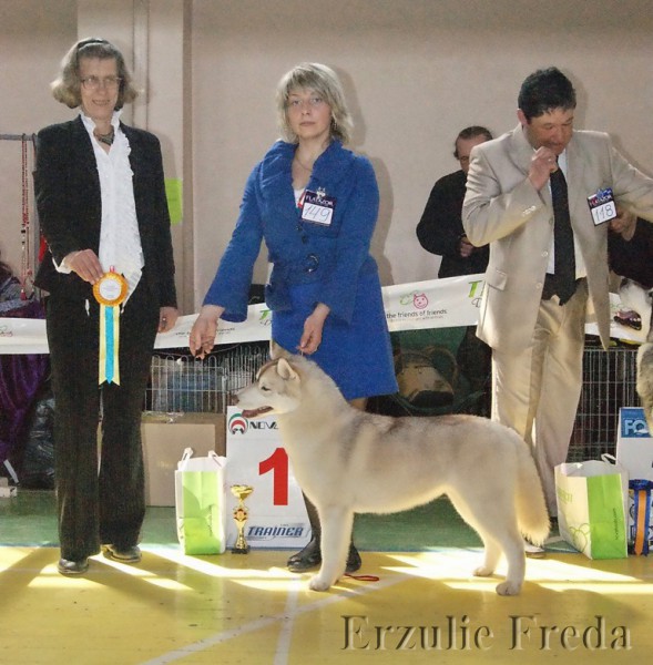 Региональная выставка собак в г.Тула