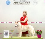 World Dog Show Budapest