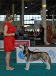 World Dog Show Budapest