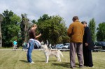 Региональная всепородная выставка собак г.Жодино 