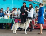 Международная выставка собак CACIB "WINNER-2013"