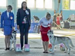 Международная выставка собак CACIB "WINNER-2013"