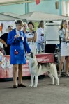 Международная выставка собак CACIB "AUTUMN - 2013"