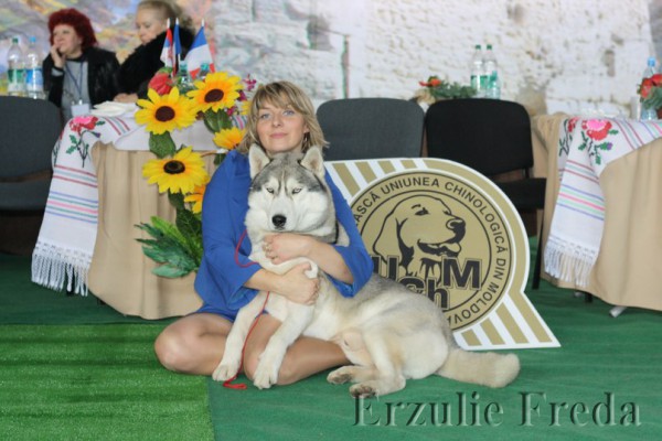 Интернациональная выставка собак CACIB МОЛДОВА г.Кишинев