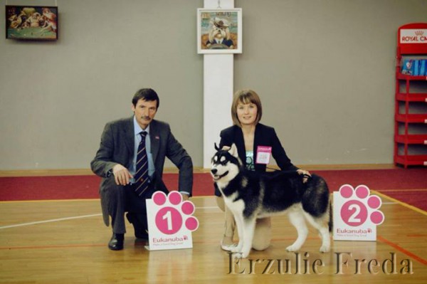 Всепородная выставка собак г. Екатеринбург