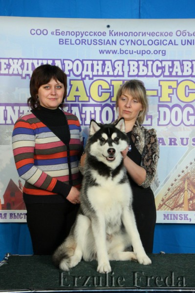 Международная выставка собак "WINTER OF BELARUS" г.Минск