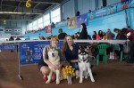 Международная выставка собак "WINTER OF BELARUS" г.Минск