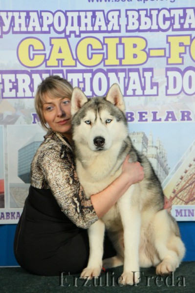 Международная выставка собак "CUP OF BELARUS" г.Минск