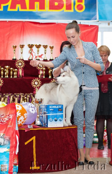 Региональная выставка собак всех пород г.Усолье-Сибирское