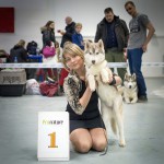 Всероссийская всепородная выставка собак г.Москва