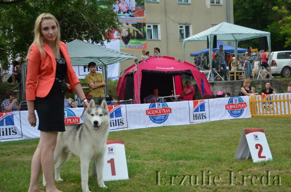 Интернациональная всепородная выставка собак  г. Новороссийск