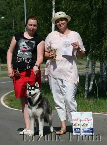 Республиканская выставка собак всех пород,  г.Новополоцк