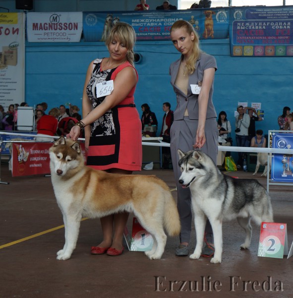 Международная выставка собак CACIB, г.Минск