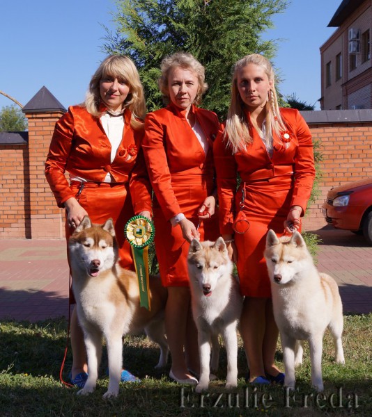 Интернациональная выставка собак CACIB, Курск