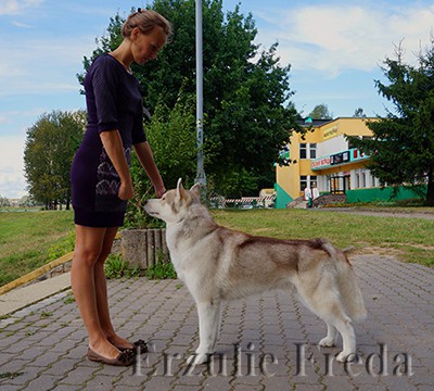 Региональная выставка собак всех пород,г.Смолевичи