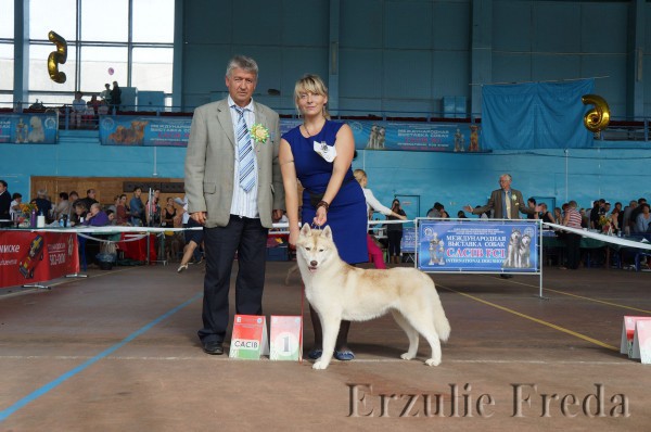 Интернациональная выставка собак "GOLDEN FAIR - 2014"