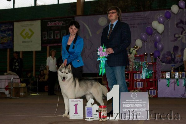 Всероссийская выставка собак "Апрельский Краснодар"