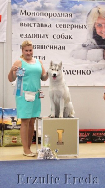 Всероссийская выставка собак всех пород ранга